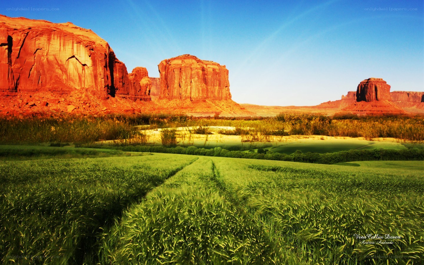 Desert landscape with green field