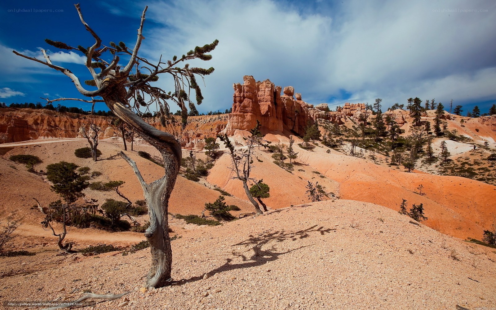 Desert landscape with hoodoos