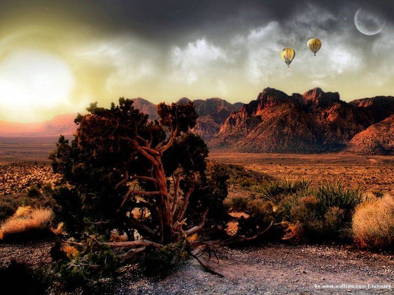 Desert landscape with hot air balloons
