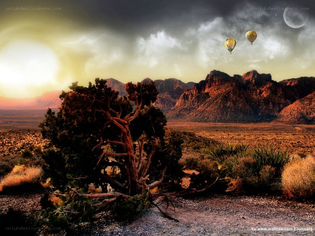 Desert landscape with hot air balloons