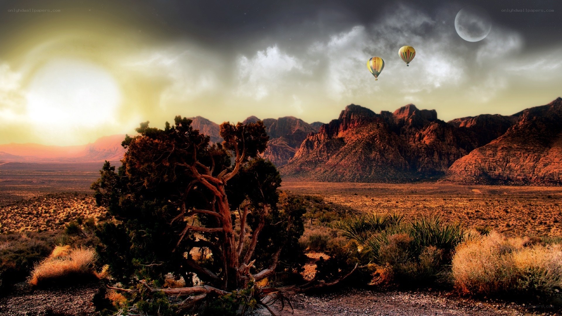 Desert landscape with hot air balloons