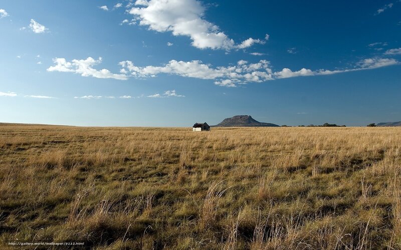 Desert landscape with hut