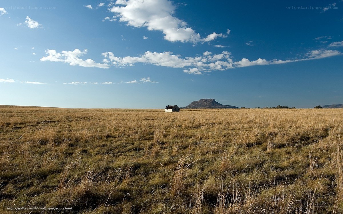 Desert landscape with hut