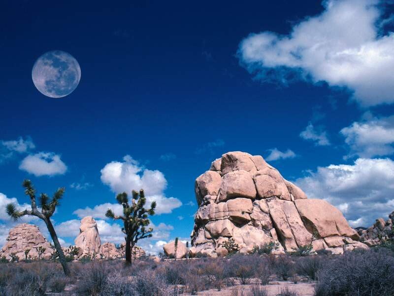 Desert landscape with moon