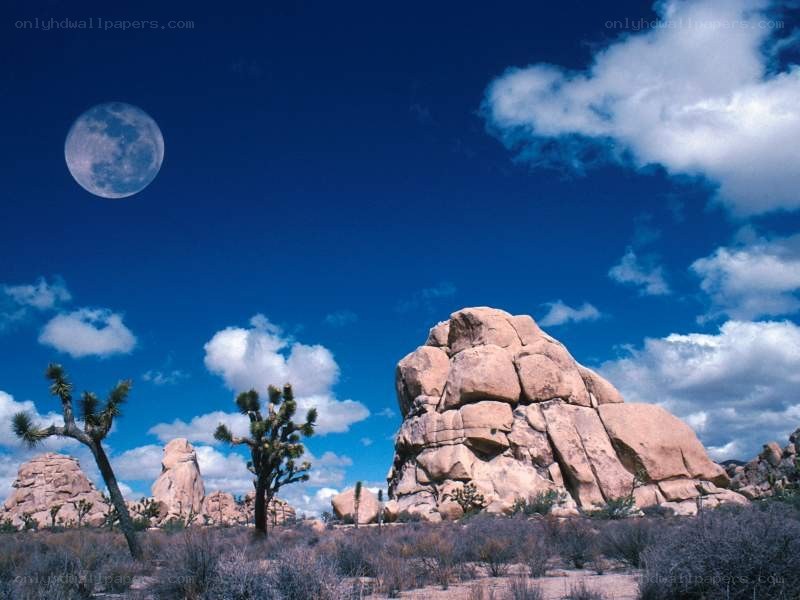 Desert landscape with moon