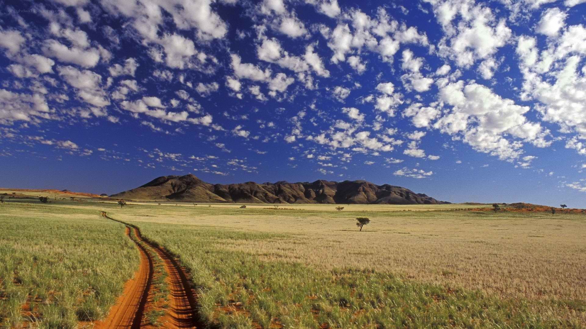 Desert landscape with mountain
