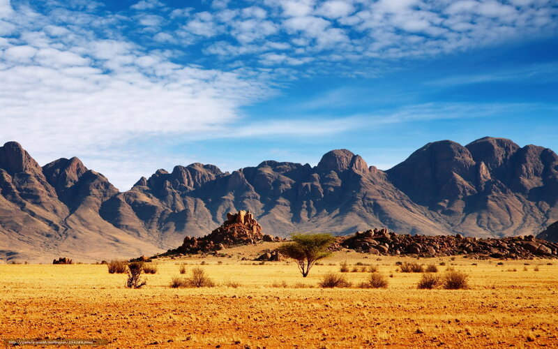 Desert landscape with mountains