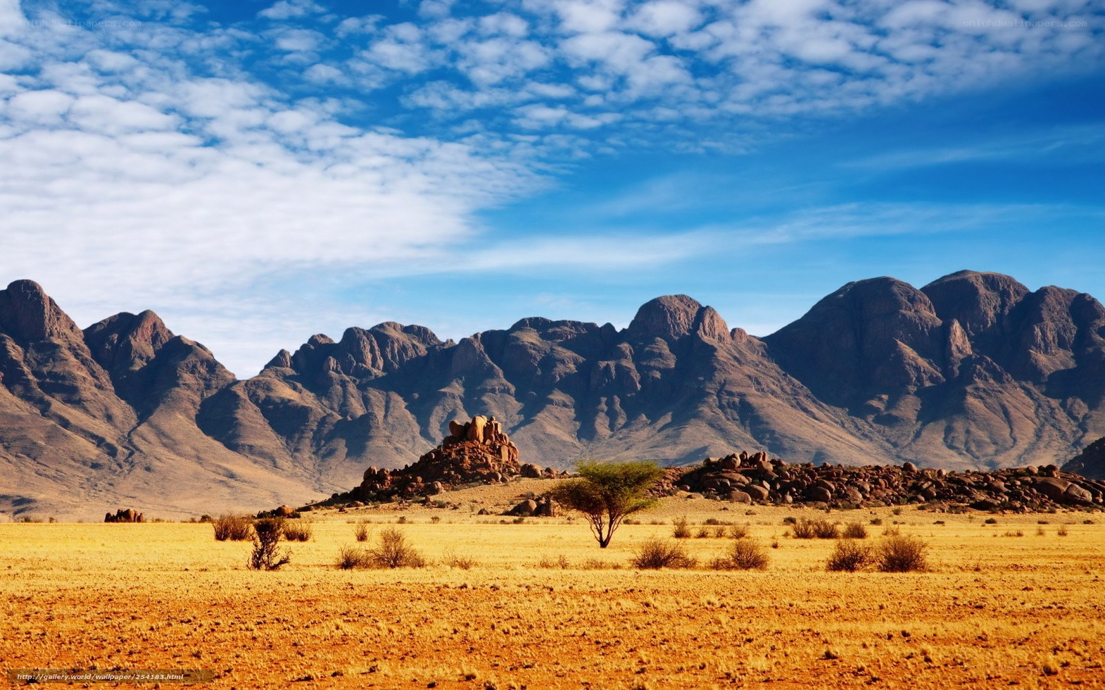 Desert landscape with mountains