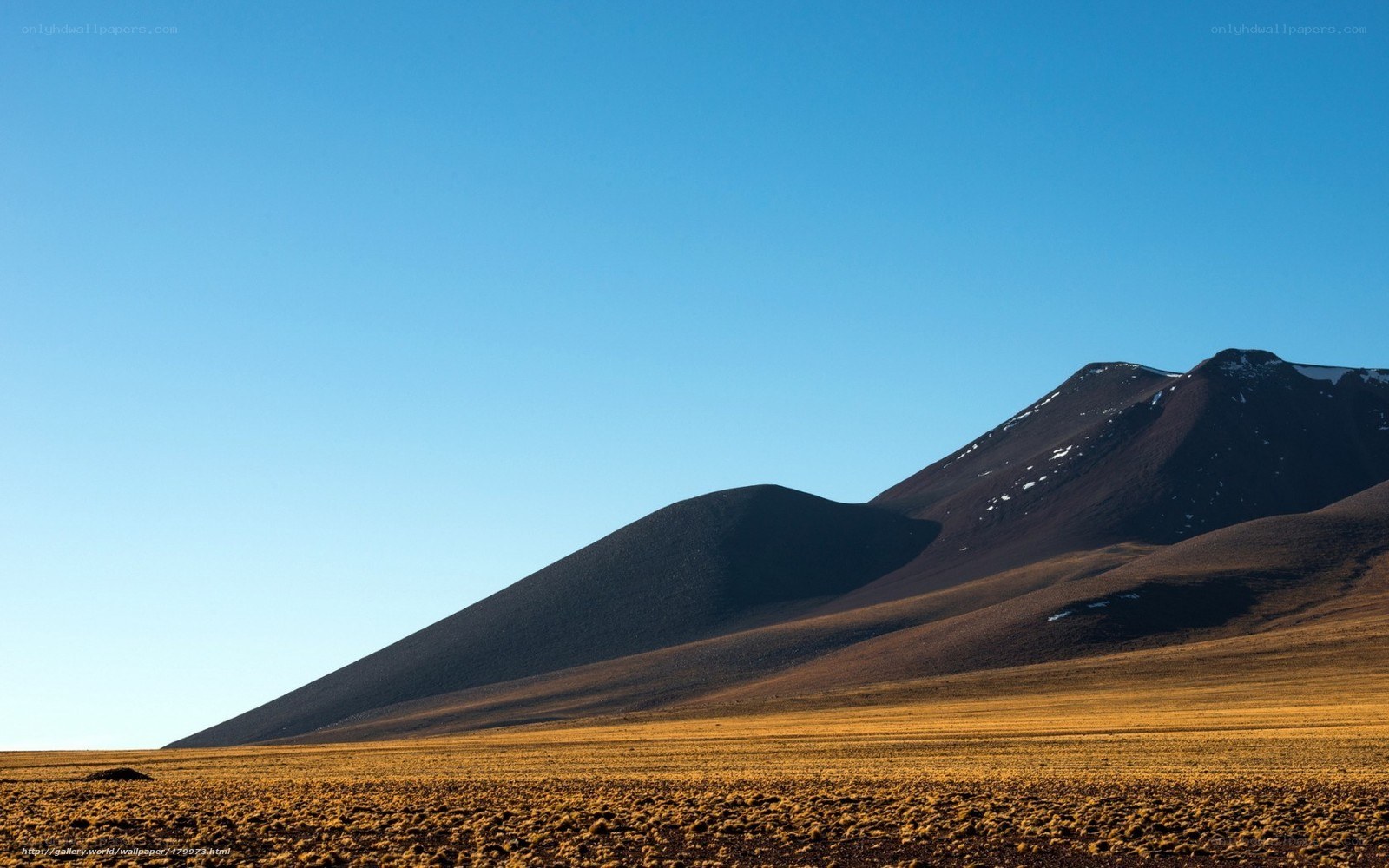 Desert landscape with mountains