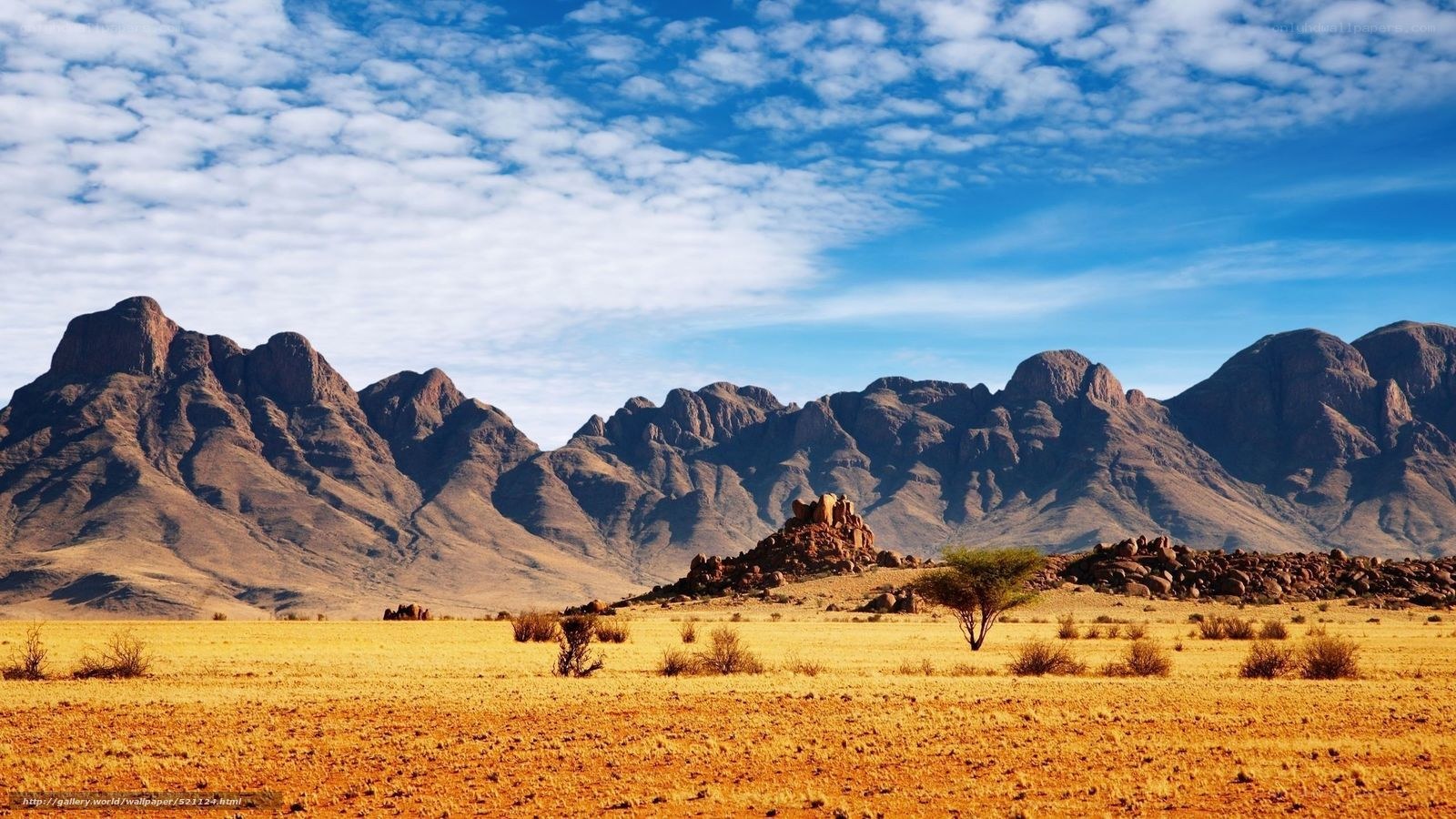 Desert landscape with mountains