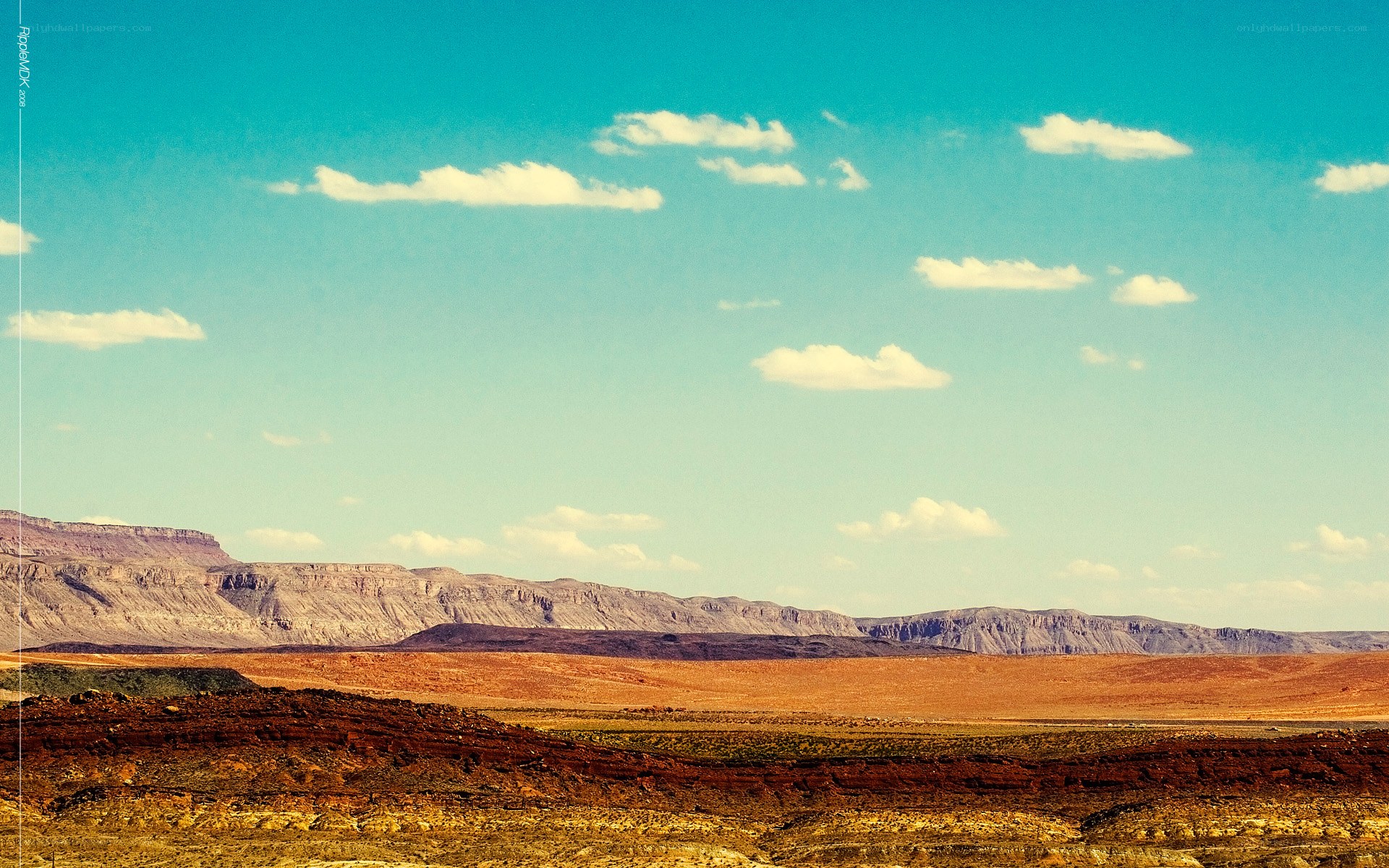 Desert landscape with mountains
