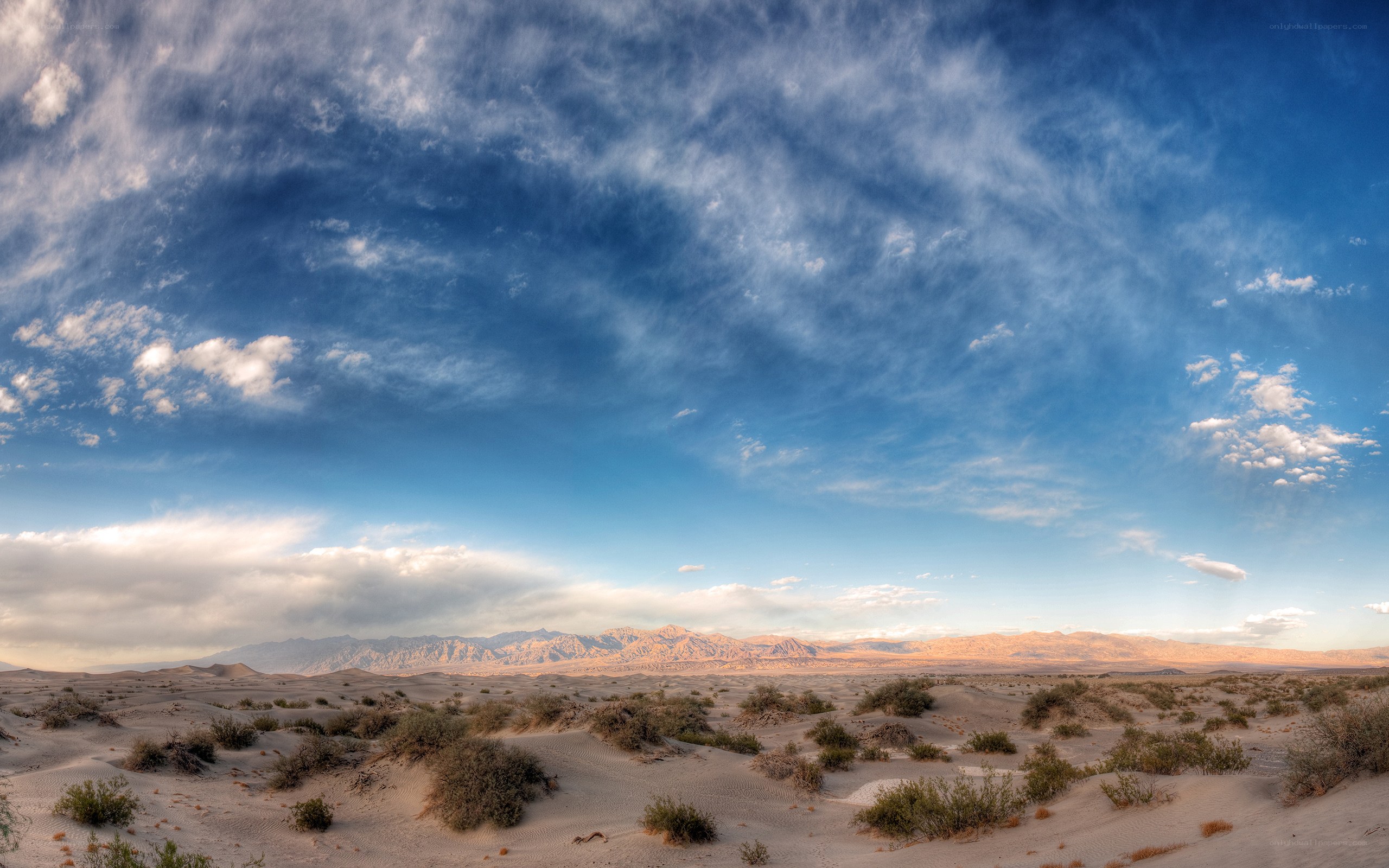 Desert landscape with mountains