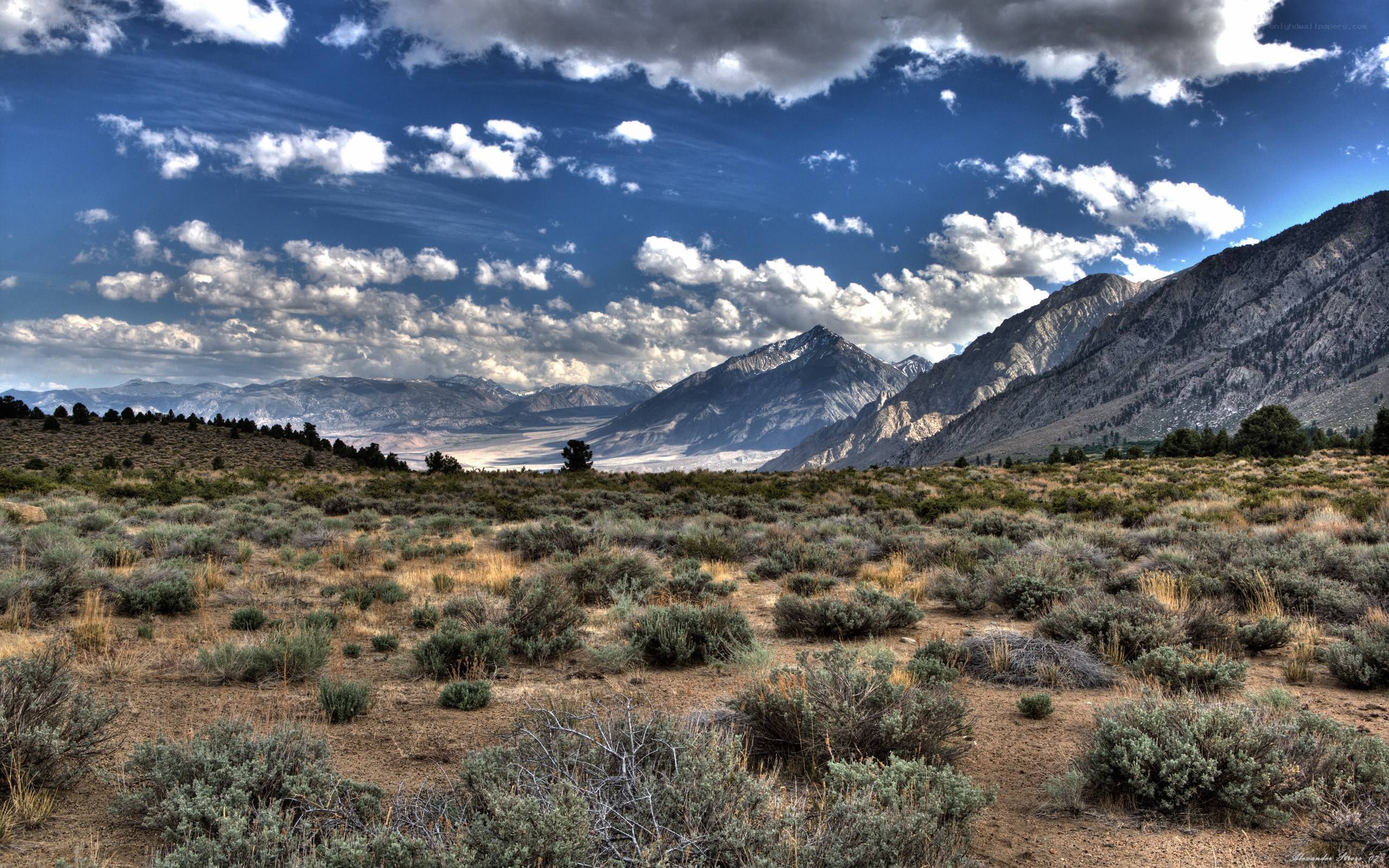 Desert landscape with mountains