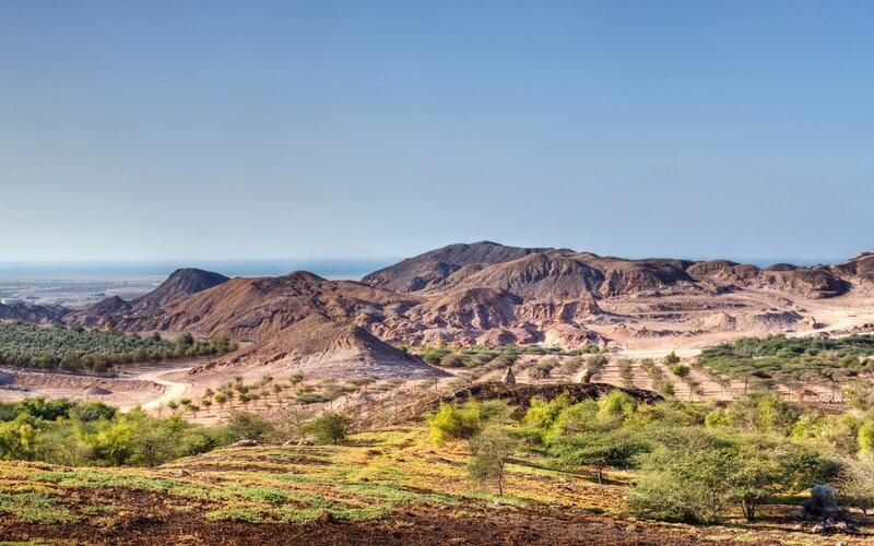 Desert landscape with mountains