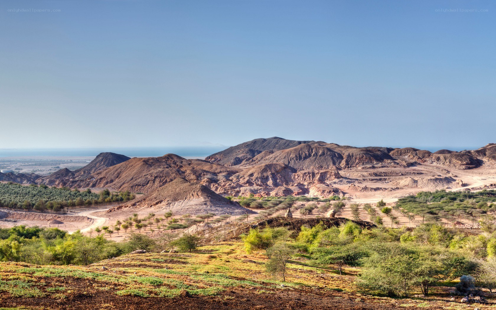 Desert landscape with mountains