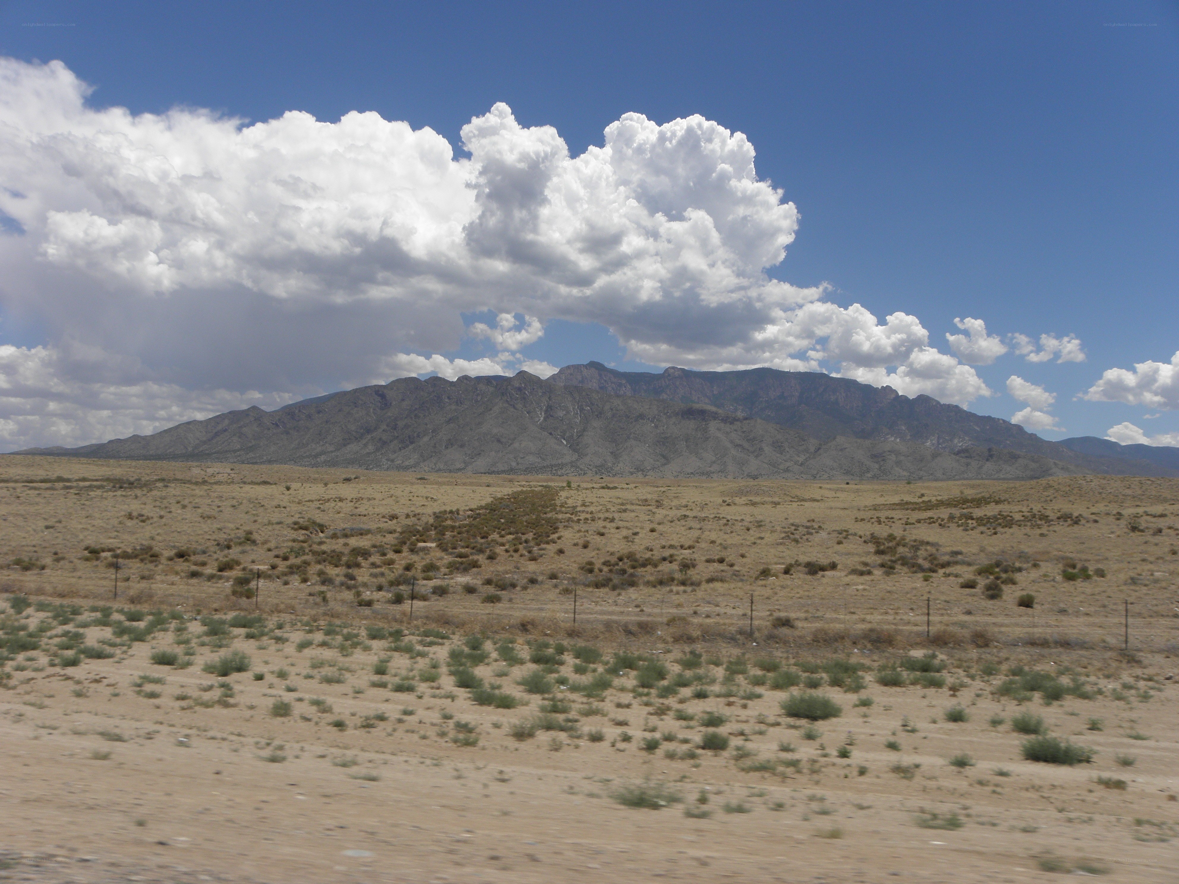 Desert landscape with mountains