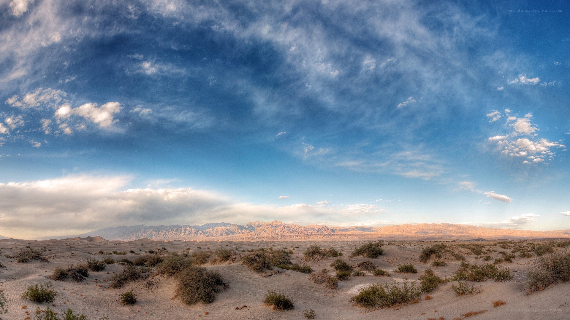 Desert landscape with mountains