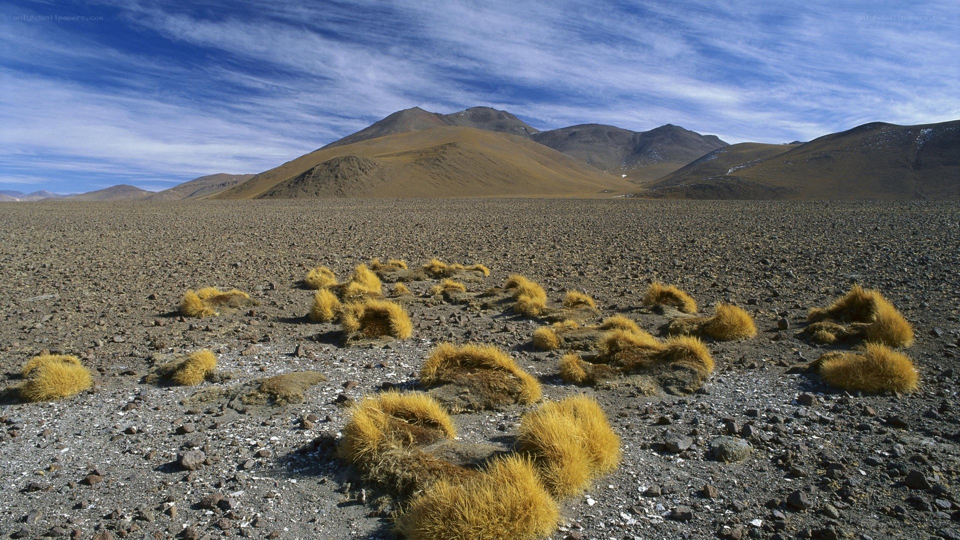 Desert landscape with mountains
