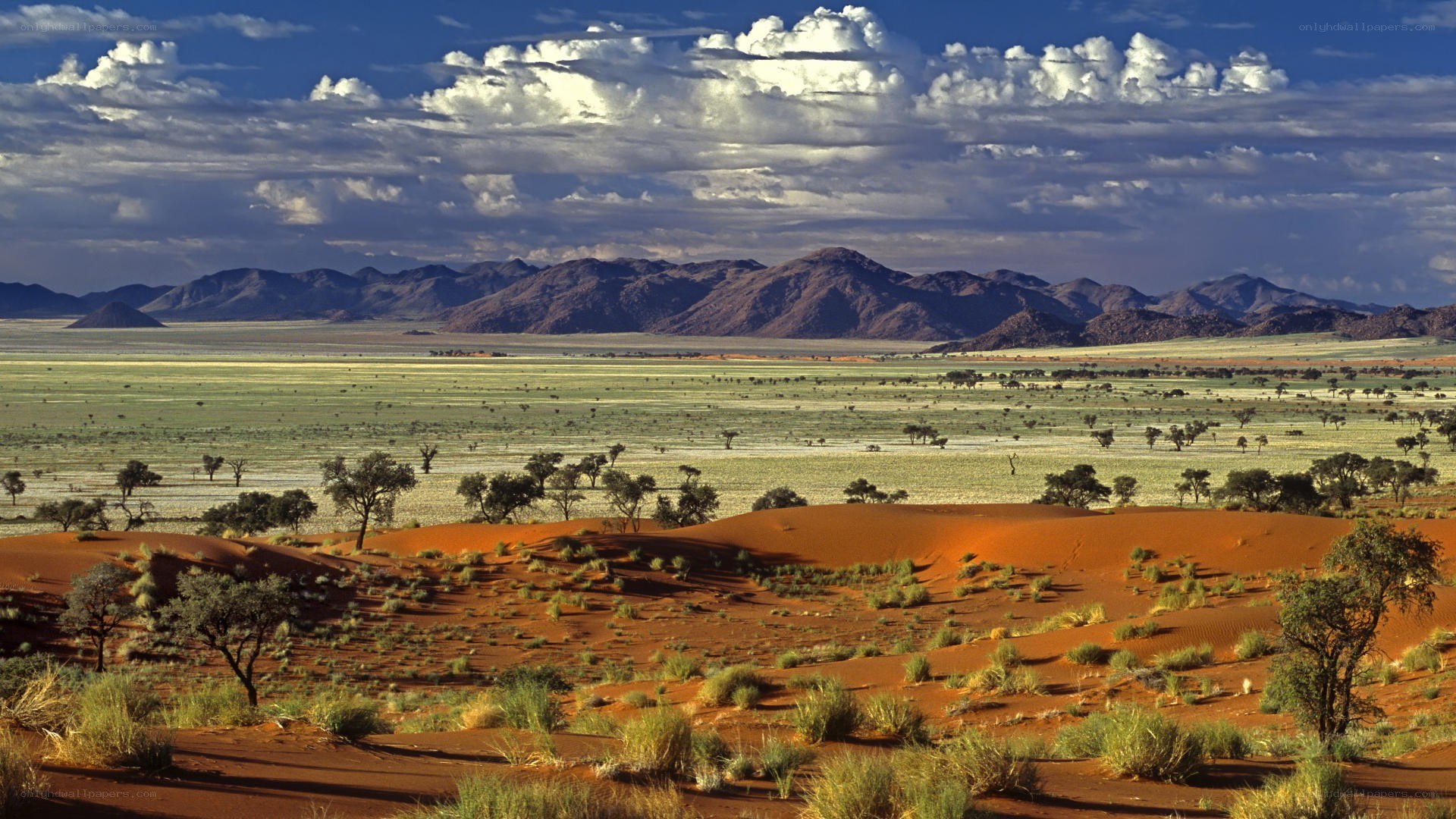 Desert landscape with mountains