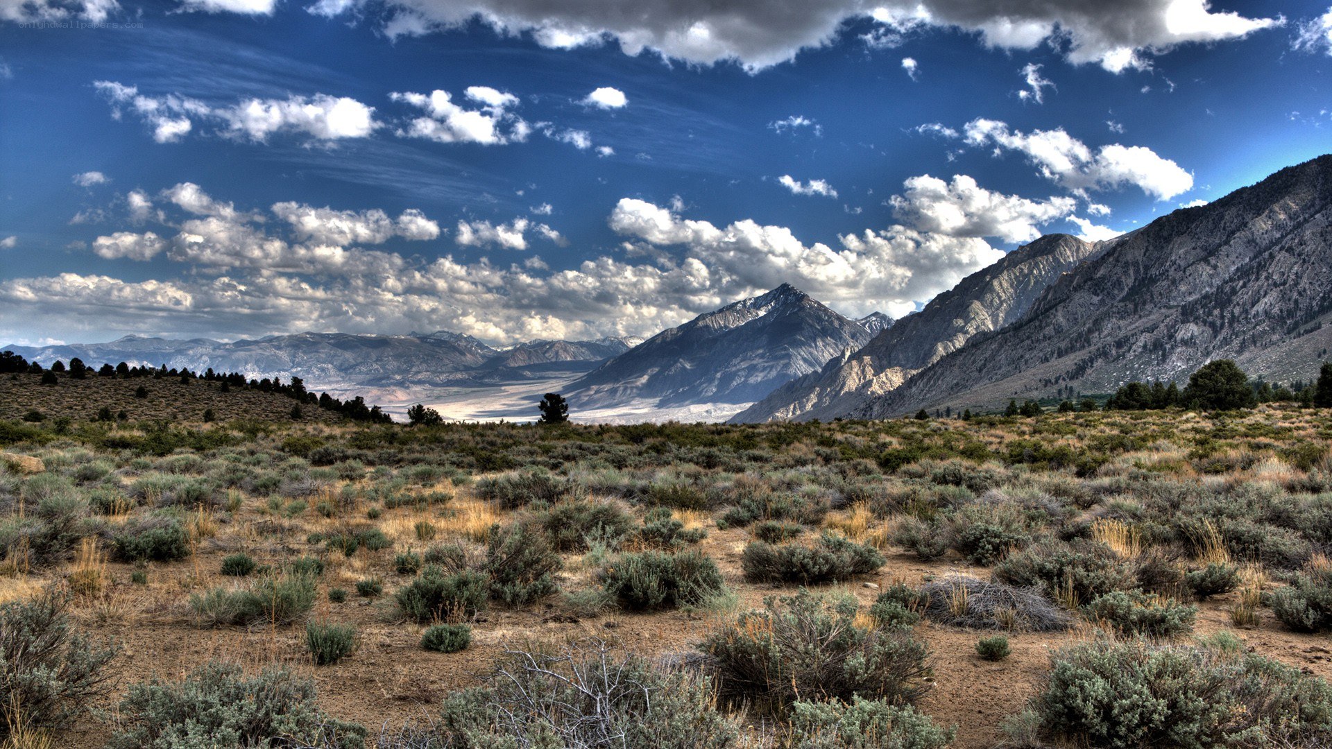 Desert landscape with mountains
