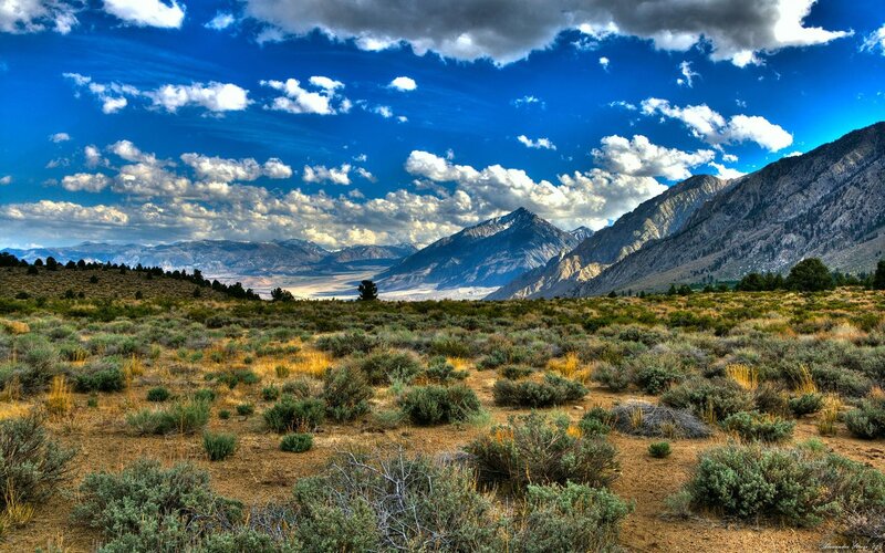 Desert landscape with mountains