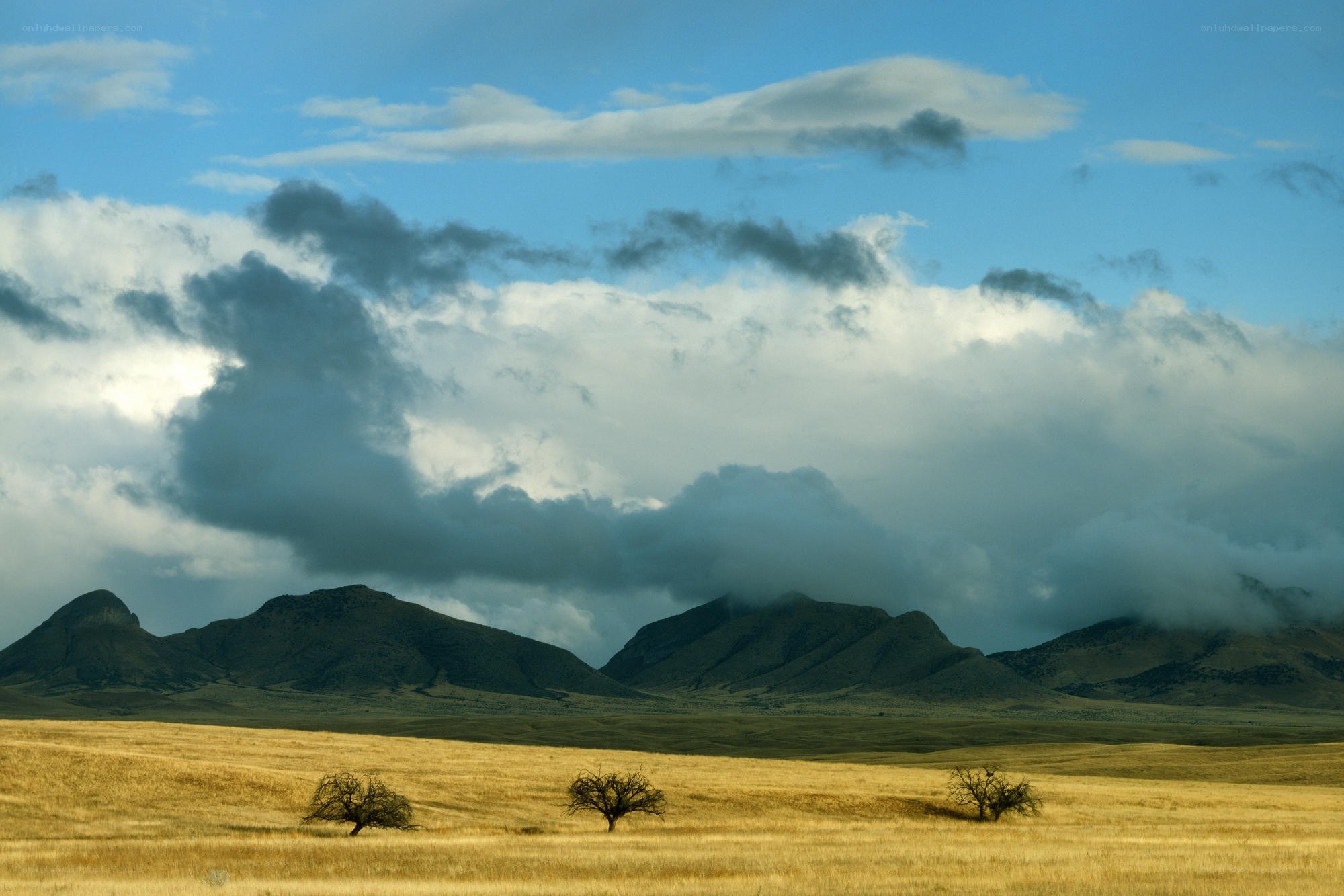 Desert landscape with mountains