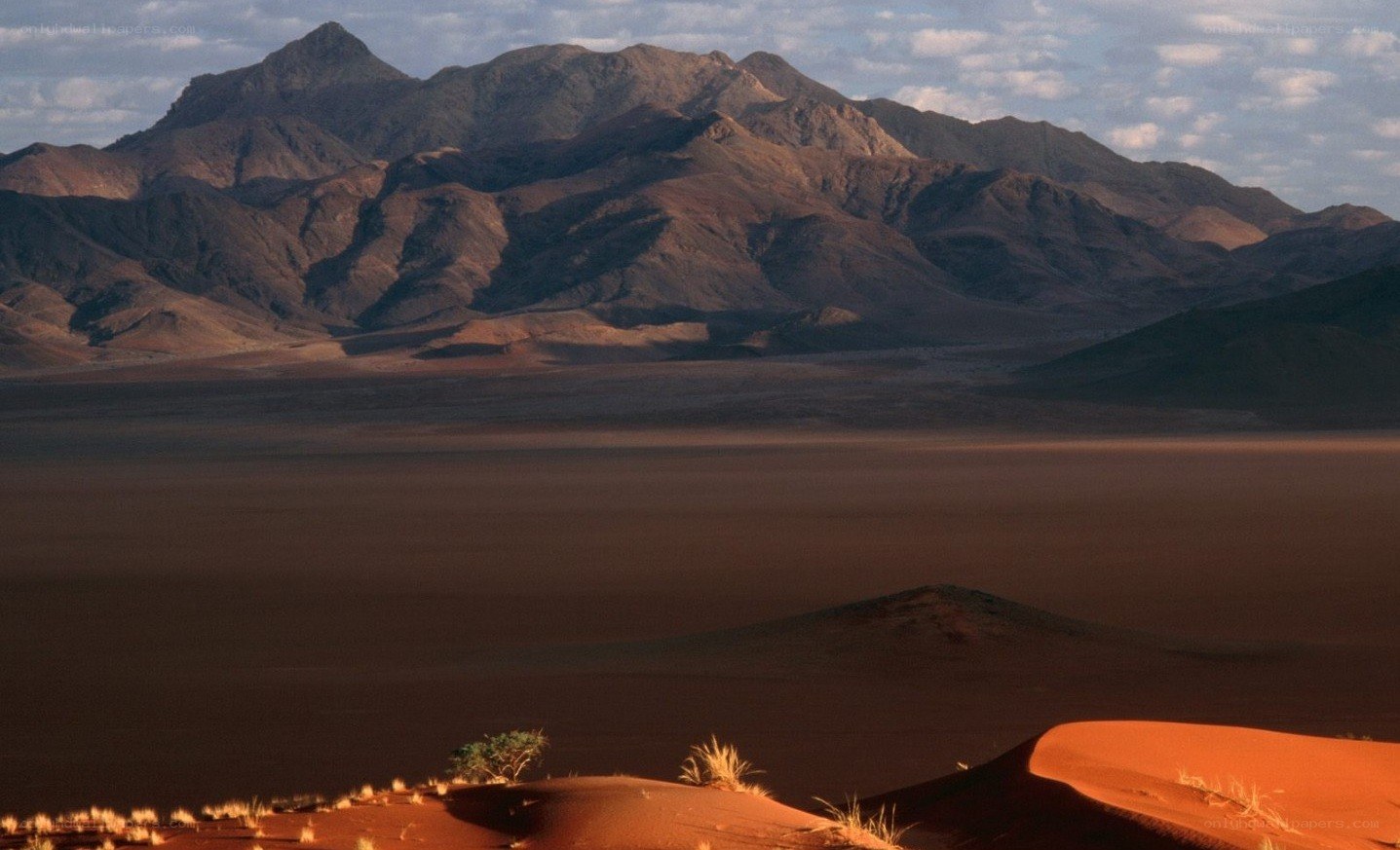 Desert landscape with mountains