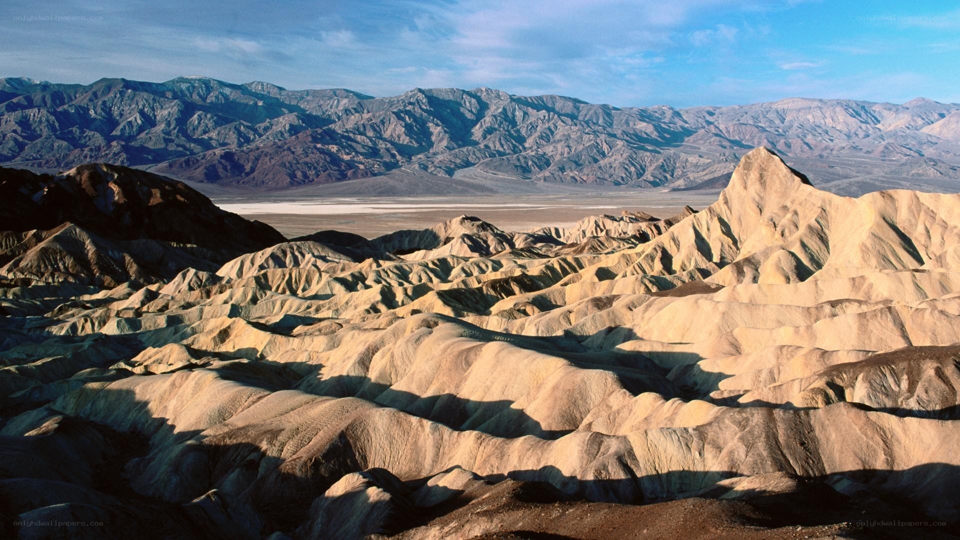 Desert landscape with mountains