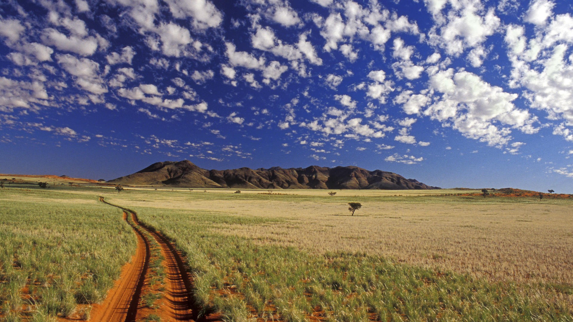 Desert landscape with mountains
