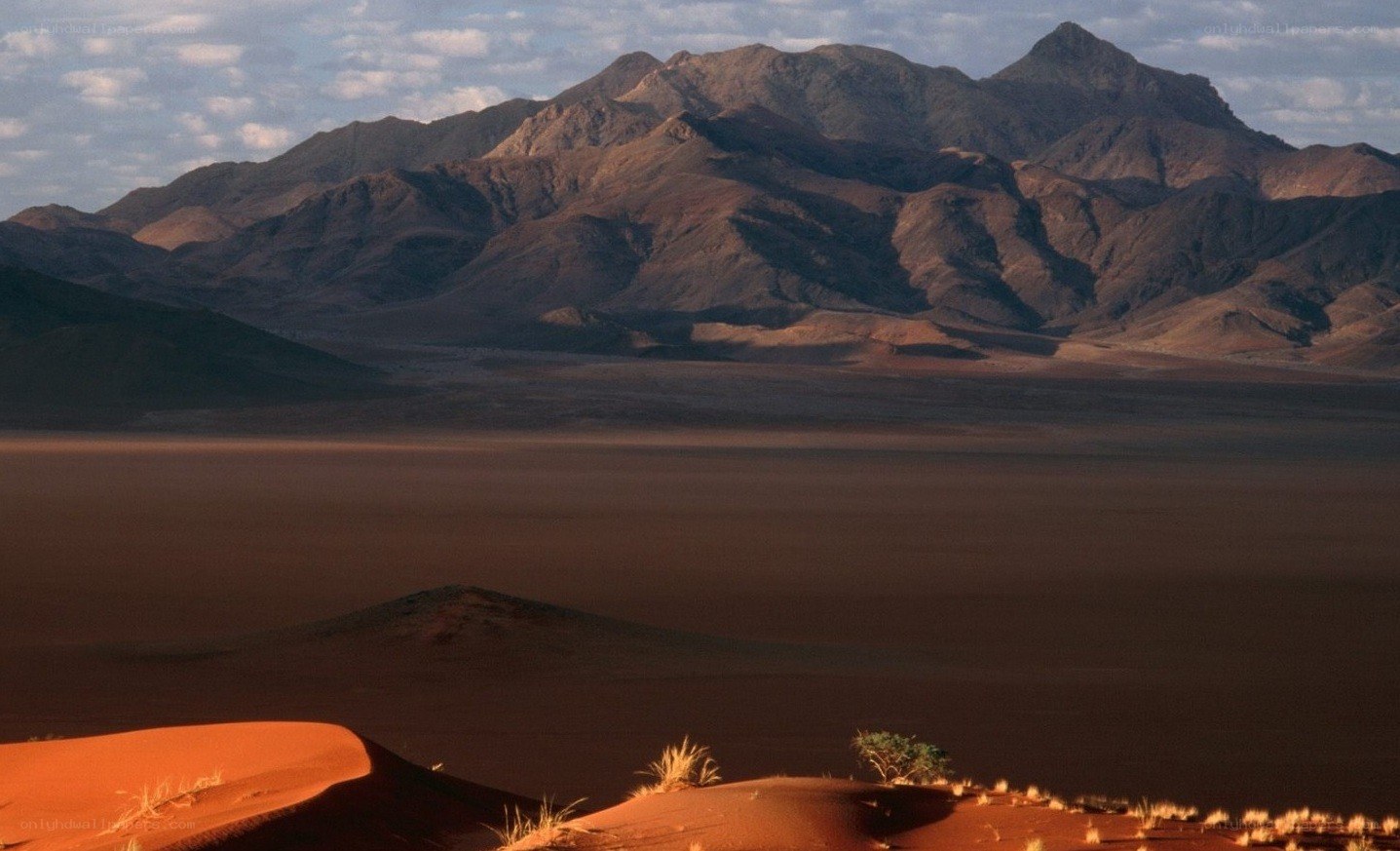 Desert landscape with mountains