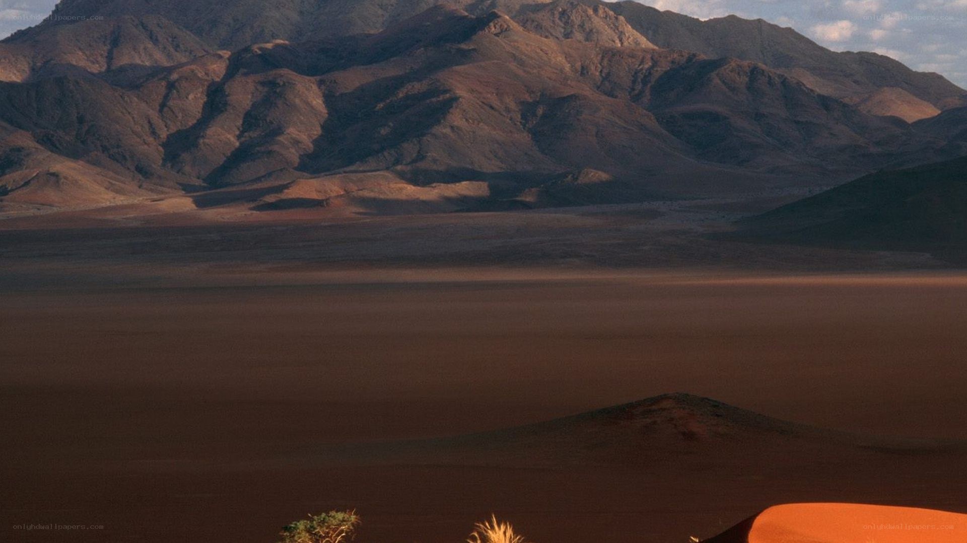 desert landscape with mountains