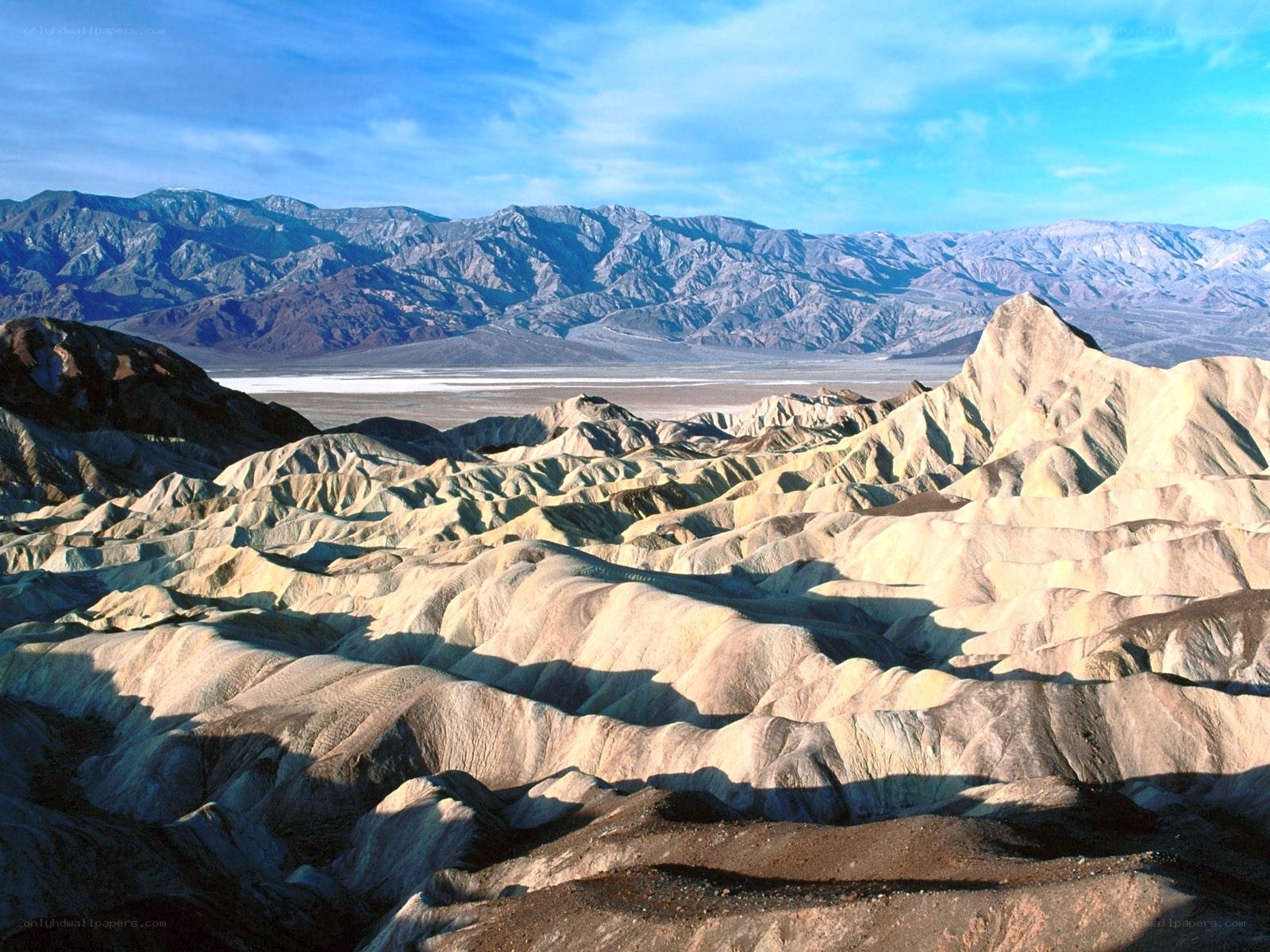 Desert landscape with mountains