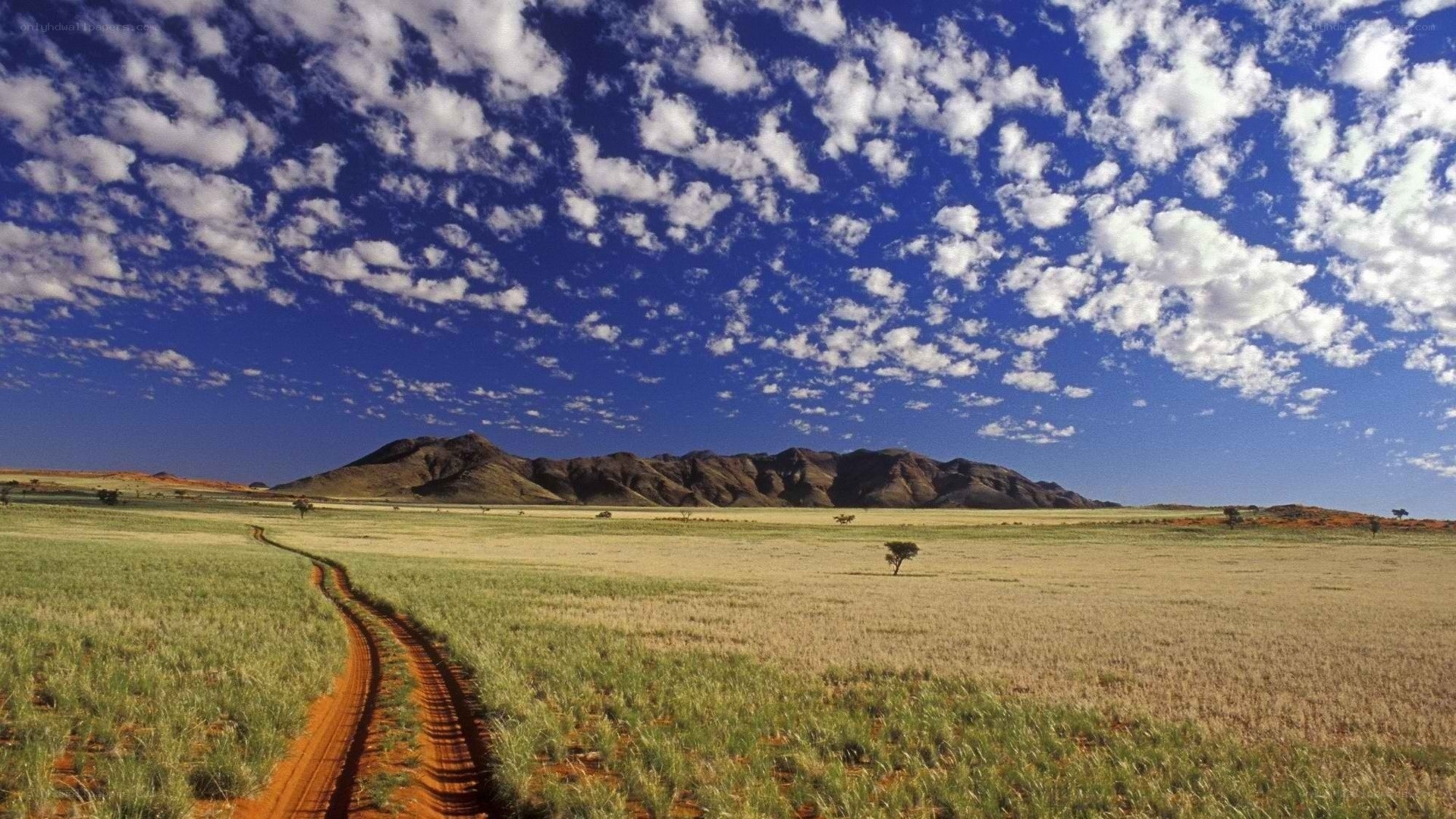 Desert landscape with mountains