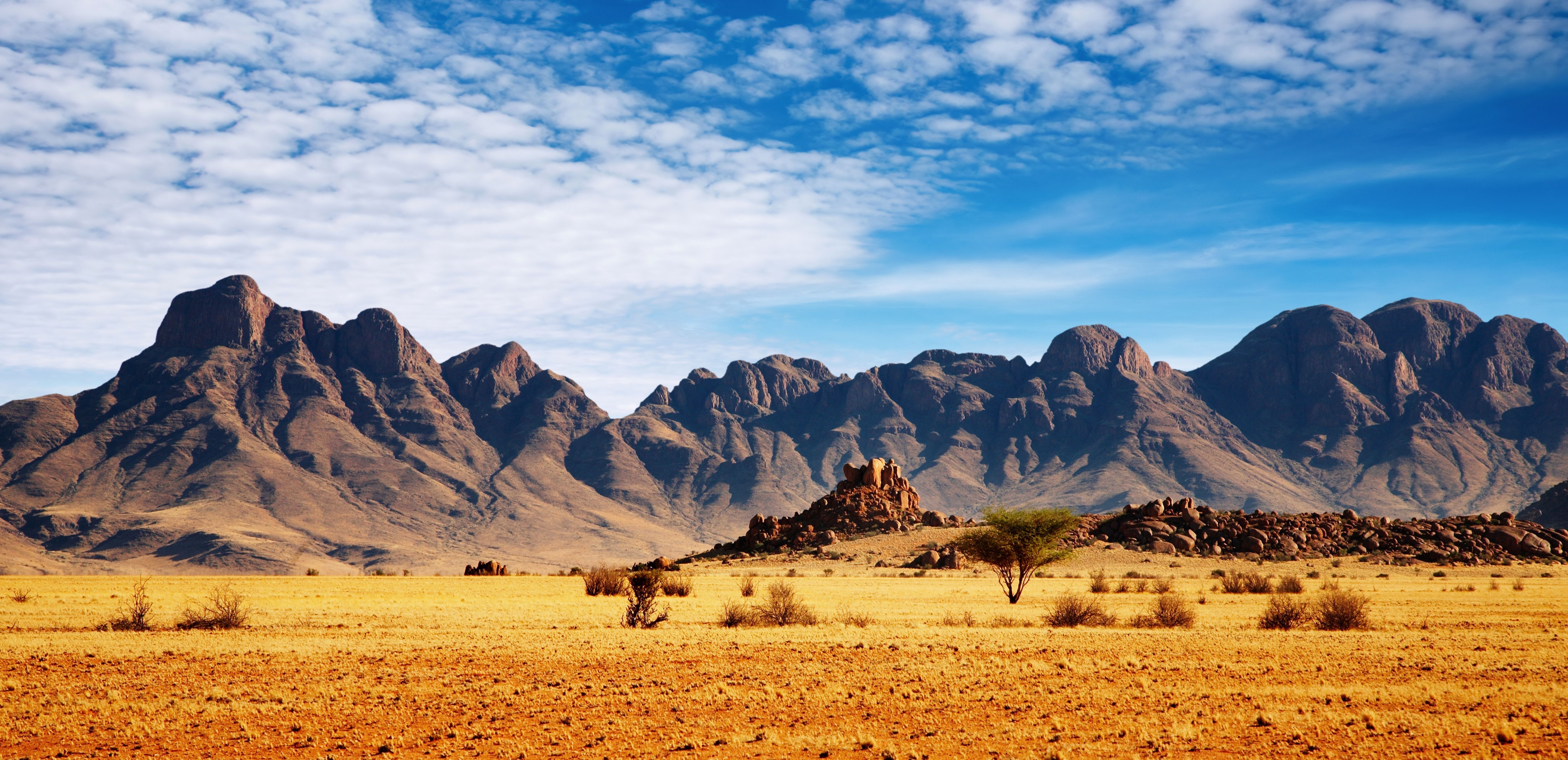 Desert landscape with mountains