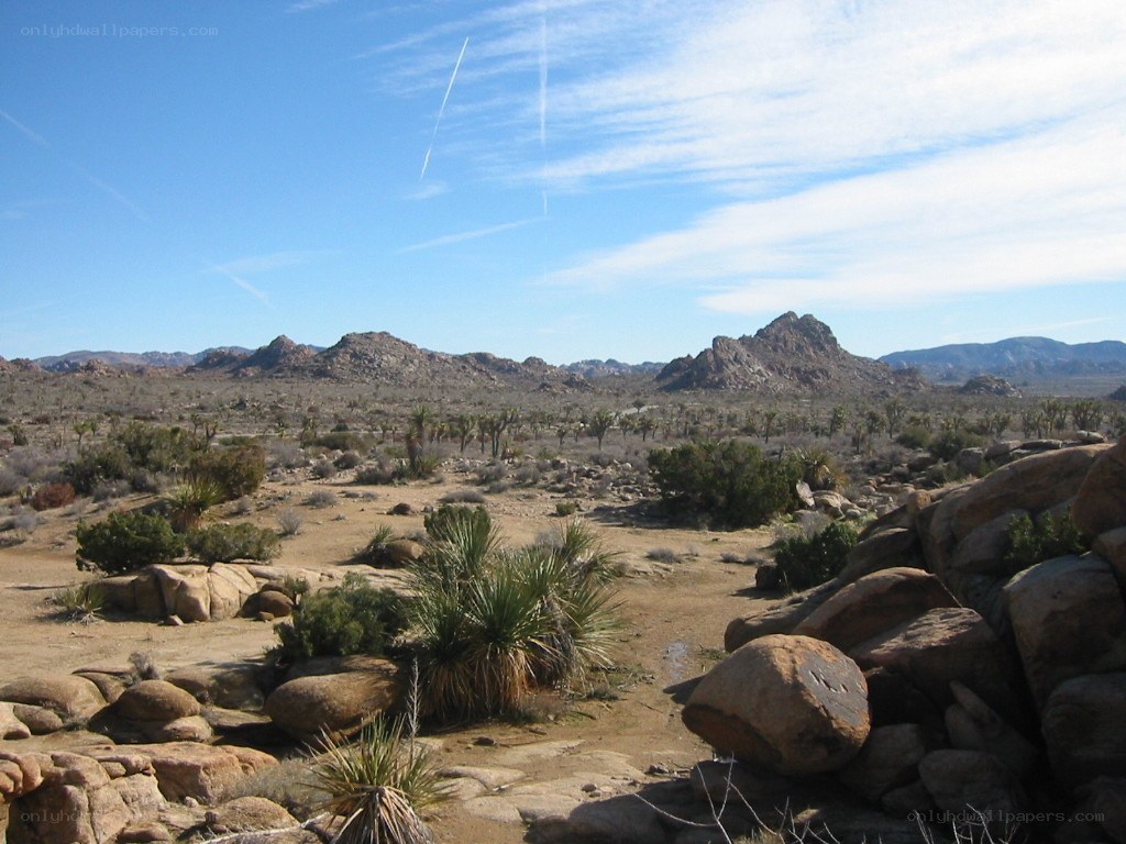 desert landscape with mountains