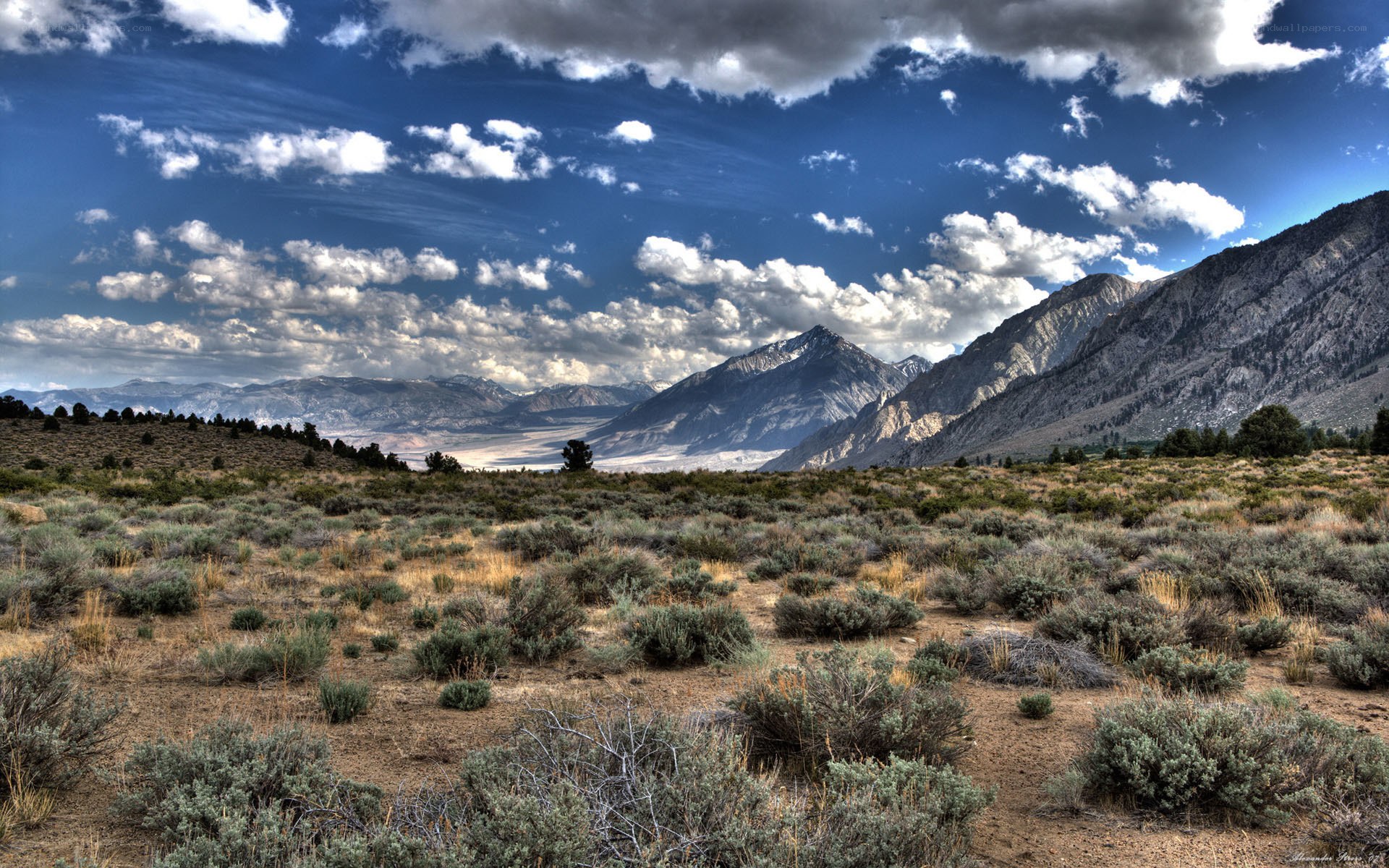 Desert landscape with mountains