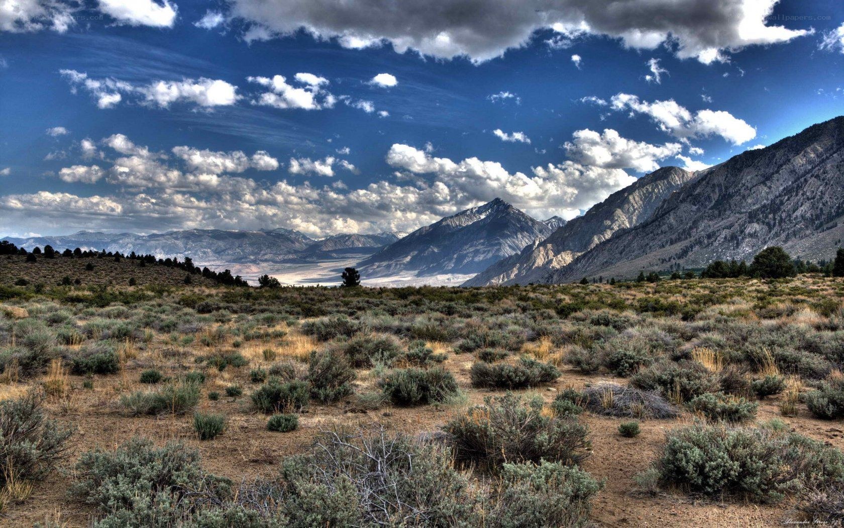 Desert landscape with mountains