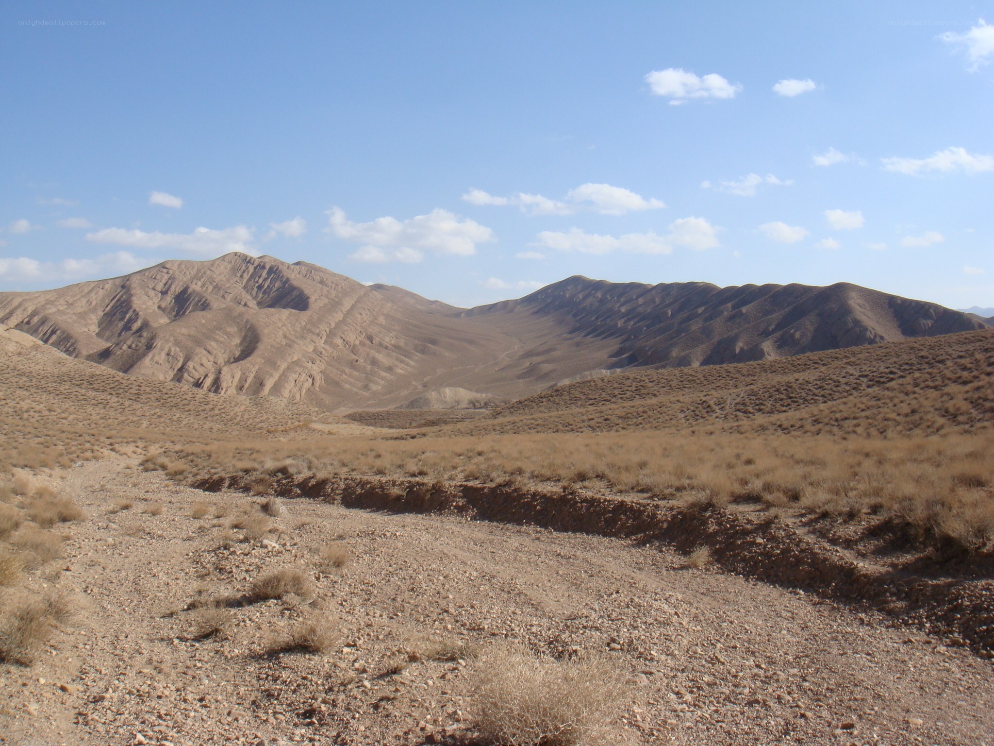Desert landscape with mountains