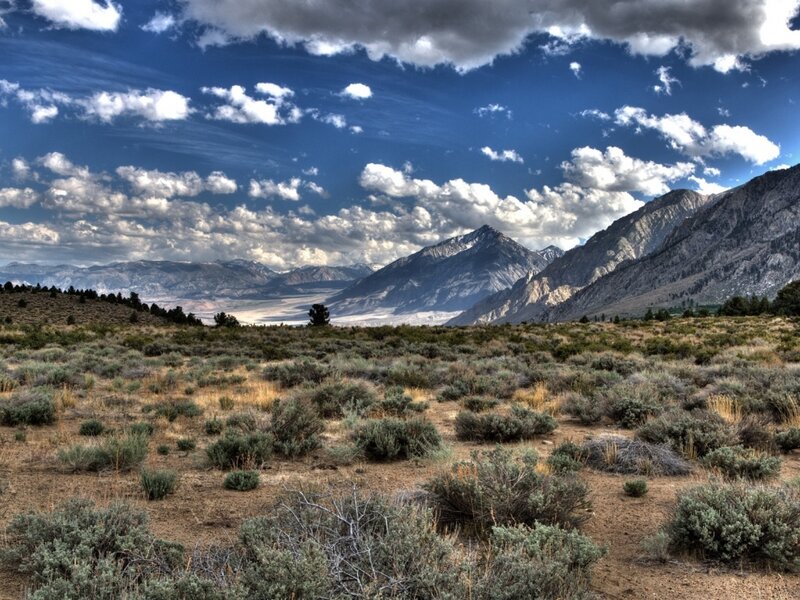 Desert landscape with mountains