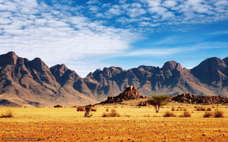 Desert Landscape with Mountains — Blue, Arid, Afternoon, Photograph, Acacia Tree