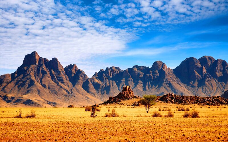 Desert Landscape with Mountains — Blue, Dramatic, Afternoon, Photograph, Tree