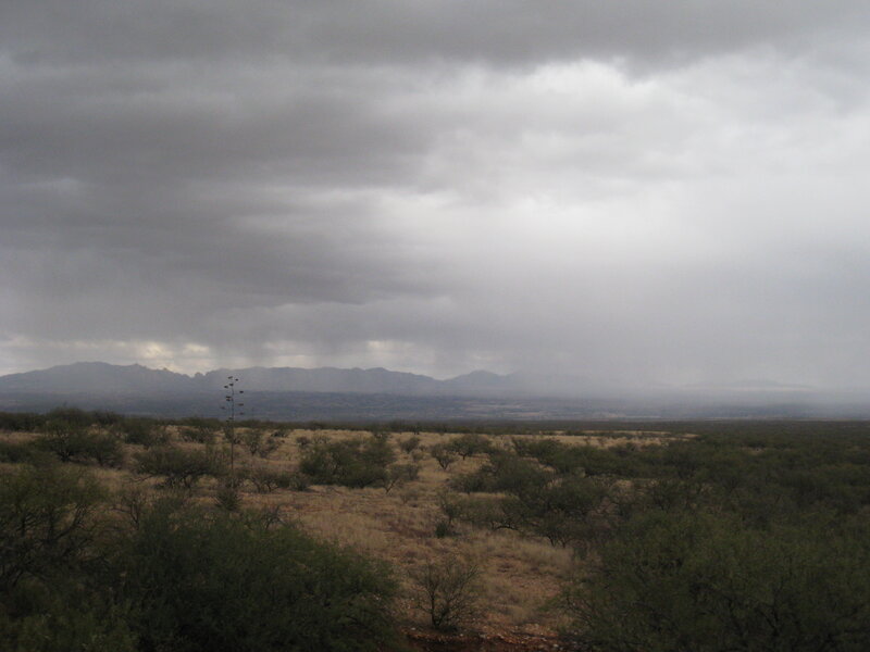Desert Landscape with Mountains — Gray