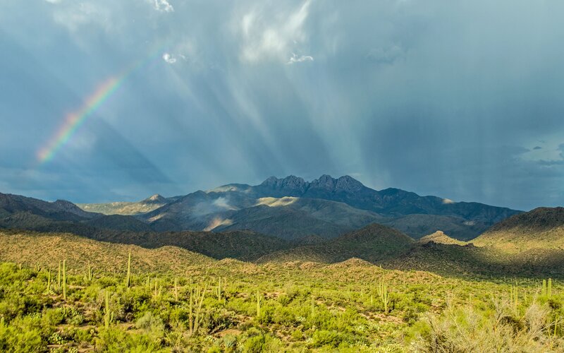 Desert Landscape with Mountains — Green