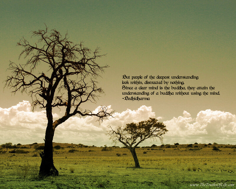 Desert landscape with quote