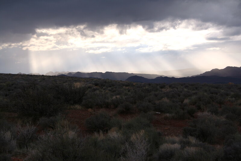 Desert Landscape with Rain