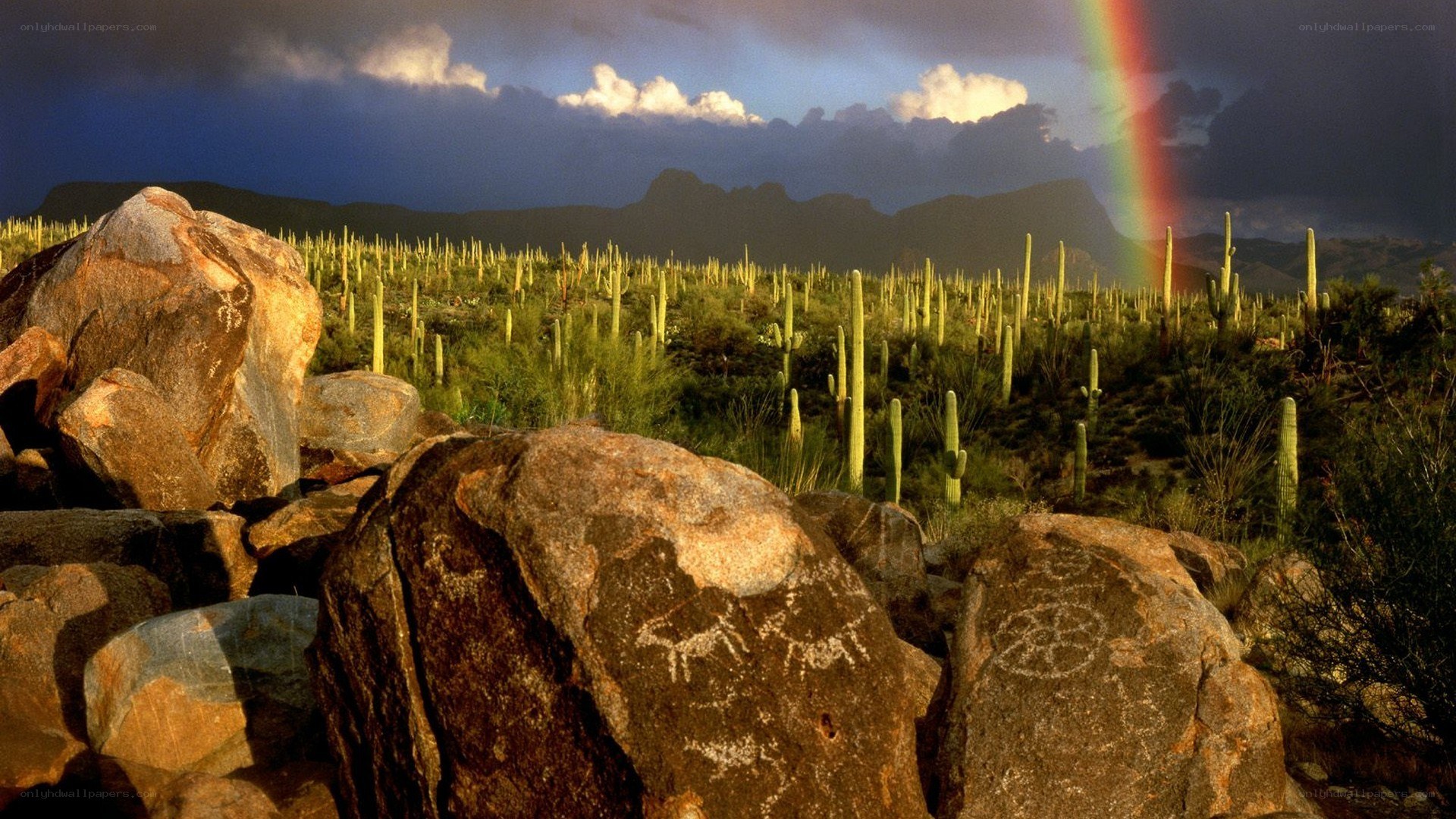 Desert landscape with rainbow