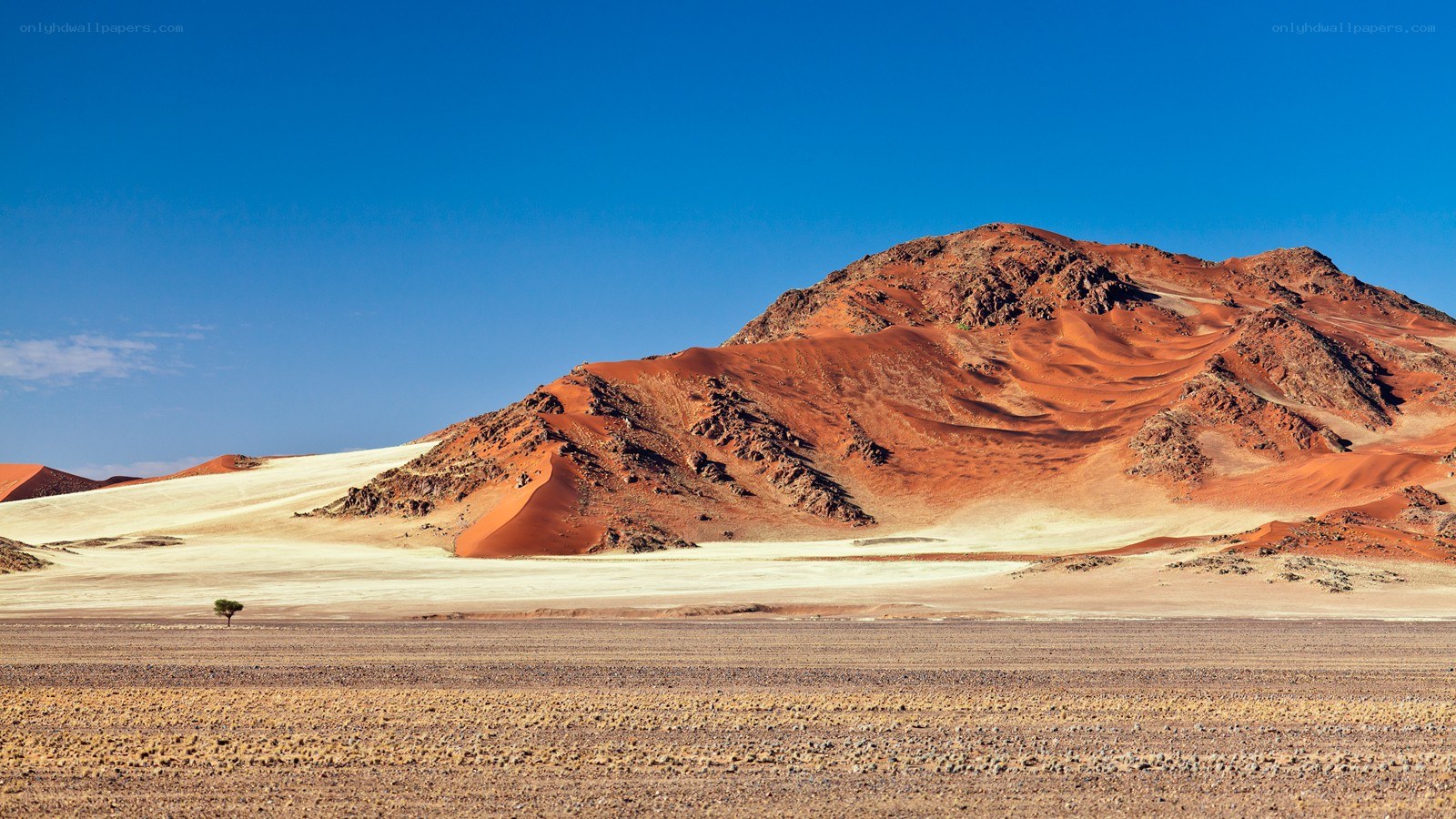 Desert landscape with red dunes
