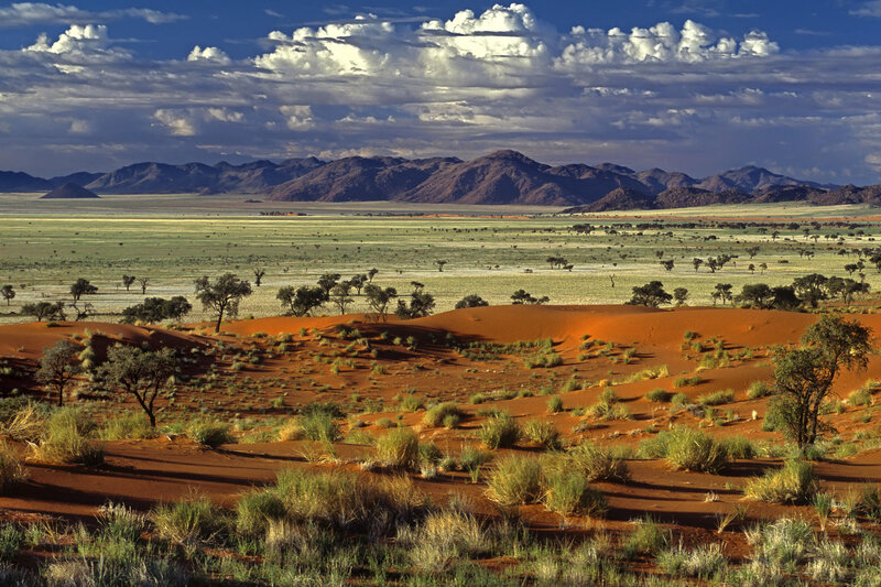 Desert landscape with red dunes