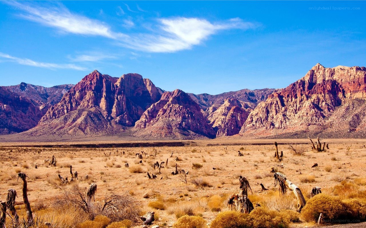 desert landscape with red rock formations
