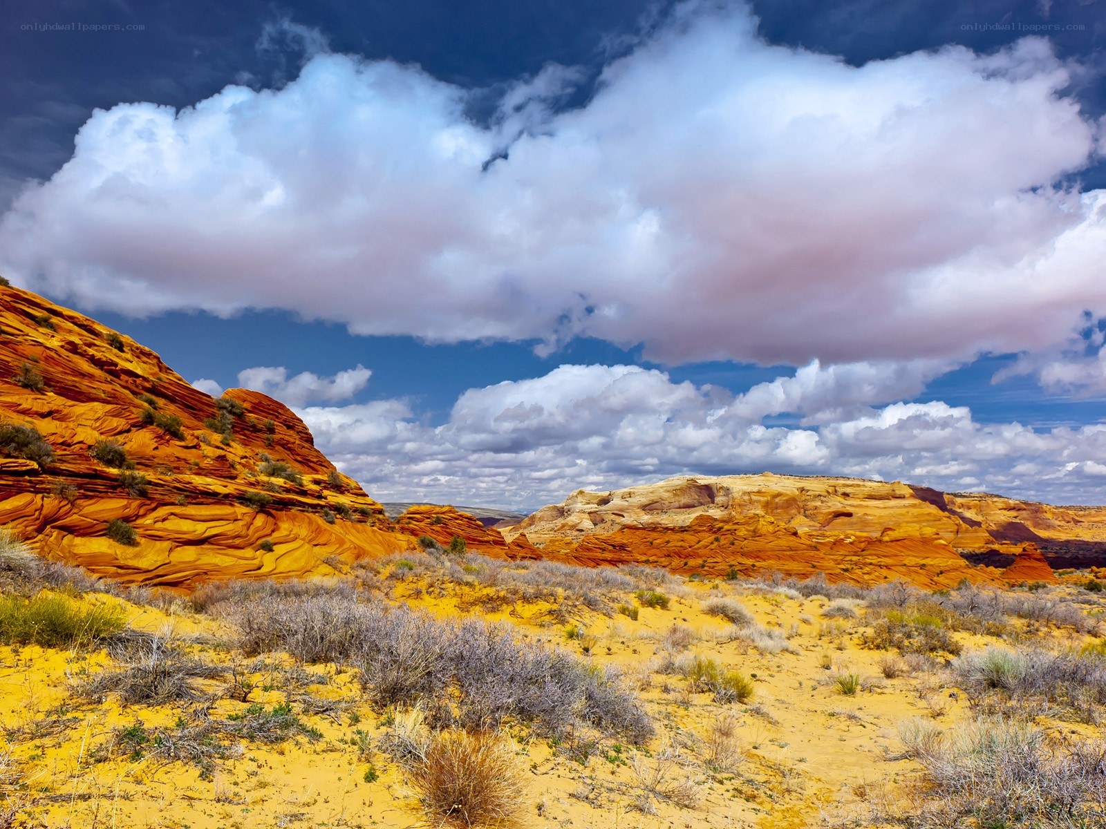 Desert landscape with red rock formations